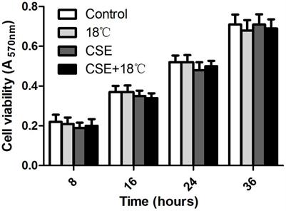 Transient Receptor Potential Melastatin 8 (TRPM8)-Based Mechanisms Underlie Both the Cold Temperature-Induced Inflammatory Reactions and the Synergistic Effect of Cigarette Smoke in Human Bronchial Epithelial (16HBE) Cells